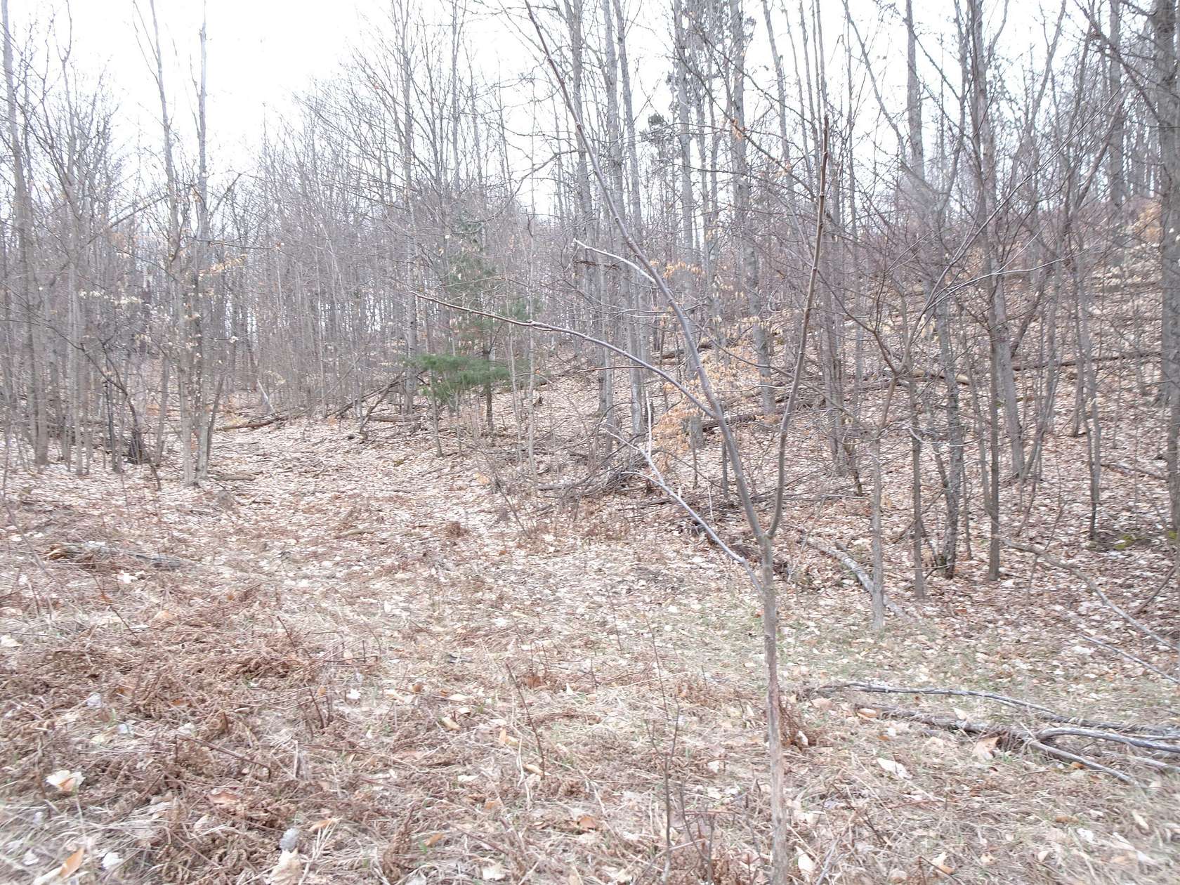 10 Acres of Land for Sale in Bear Lake, Michigan