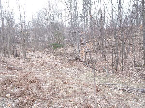10 Acres of Land for Sale in Bear Lake, Michigan