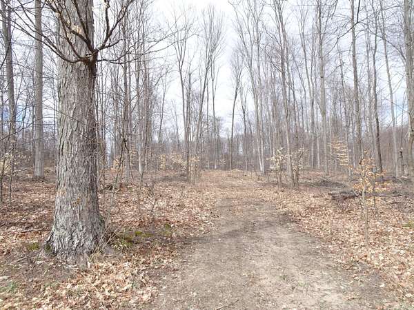 10 Acres of Land for Sale in Bear Lake, Michigan