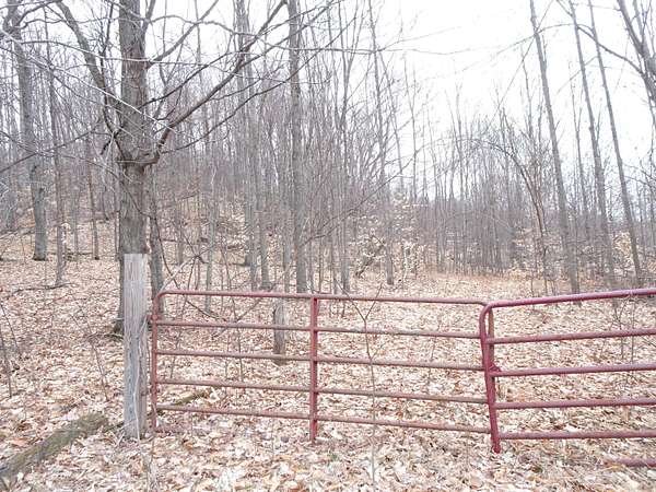 10 Acres of Land for Sale in Bear Lake, Michigan