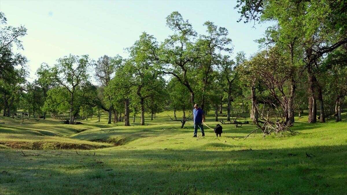 44.2 Acres of Land for Sale in Redding, California