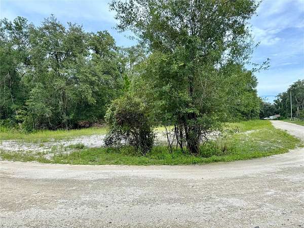 0.29 Acres of Residential Land for Sale in Webster, Florida