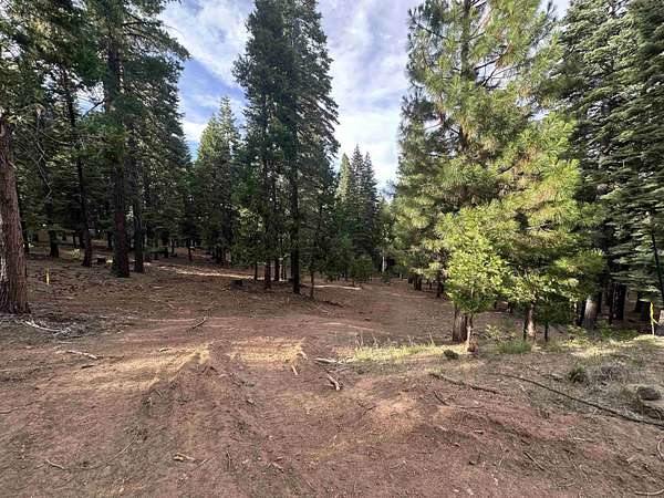 1.35 Acres of Residential Land for Sale in Lake Almanor West, California