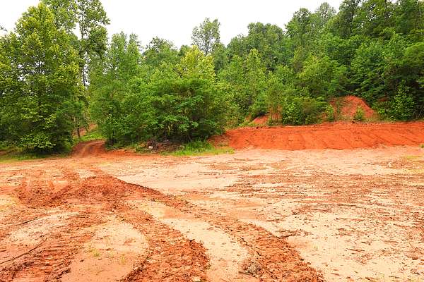 20 Acres of Recreational Land & Farm for Sale in Bonnieville, Kentucky