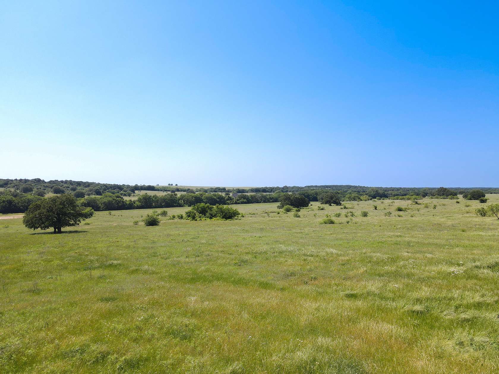 230 Acres of Land for Sale in Montague, Texas