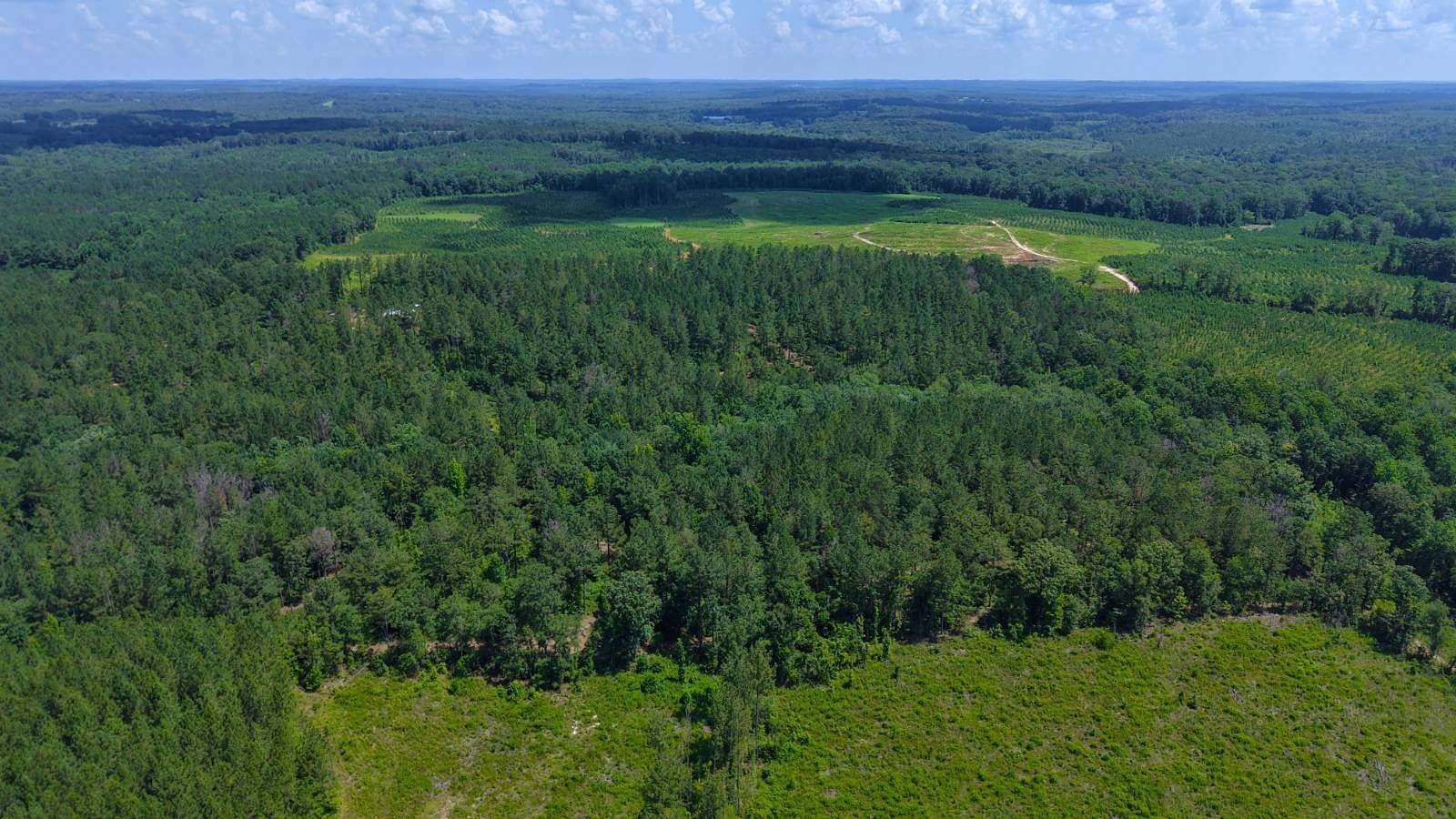 40 Acres of Recreational Land with Home for Sale in Luverne, Alabama