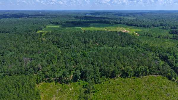 40 Acres of Recreational Land with Home for Sale in Luverne, Alabama