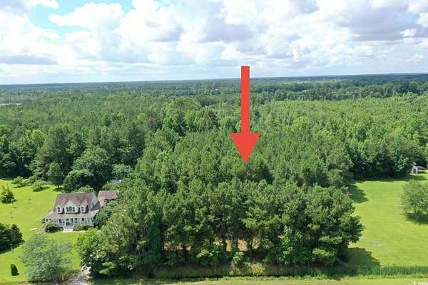 2 Acres of Land for Sale in Nichols, South Carolina