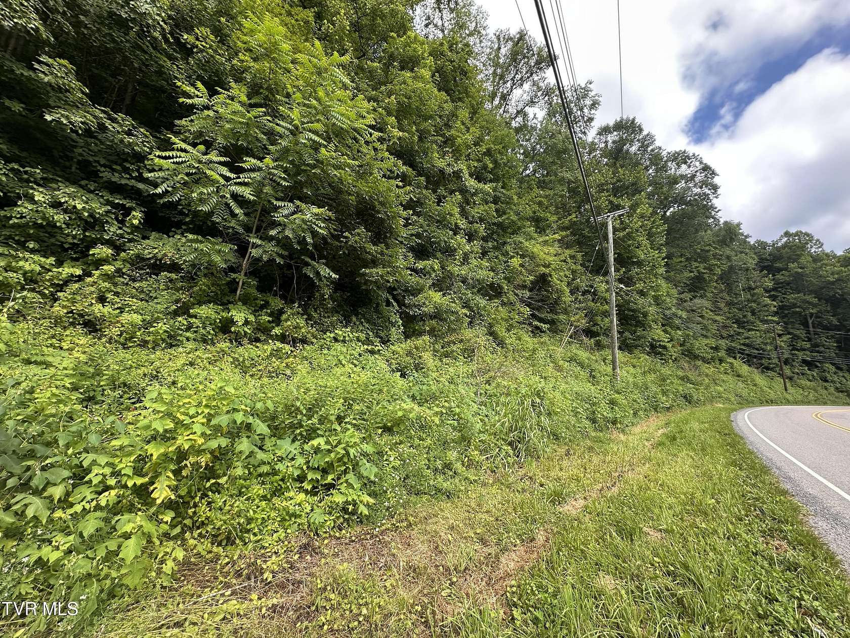 3.28 Acres of Residential Land for Sale in St. Paul, Virginia