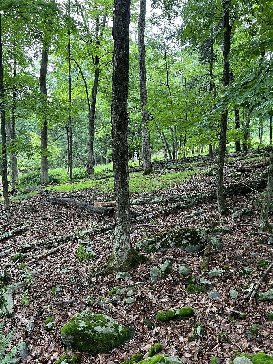 1.1 Acres of Residential Land for Sale in East Stroudsburg, Pennsylvania