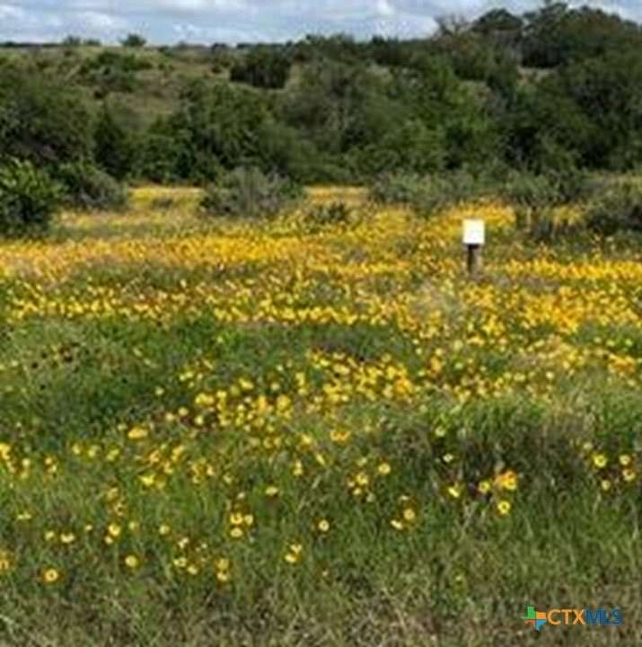 5.88 Acres of Agricultural Land for Sale in Johnson City, Texas
