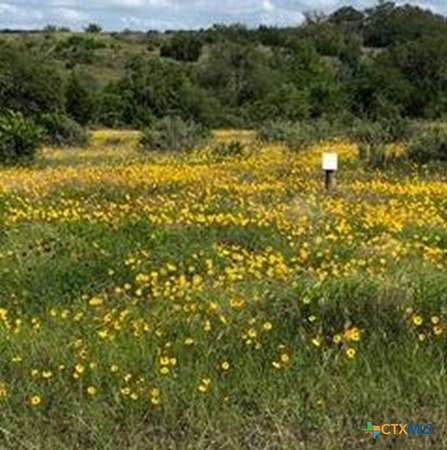 5.88 Acres of Agricultural Land for Sale in Johnson City, Texas