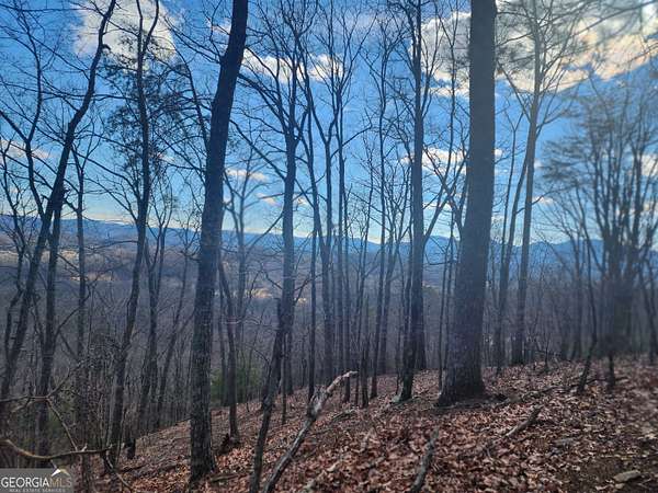 14.4 Acres of Recreational Land for Sale in Blairsville, Georgia