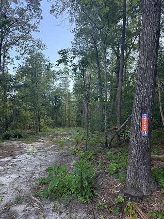 5 Acres of Residential Land for Sale in Dalzell, South Carolina