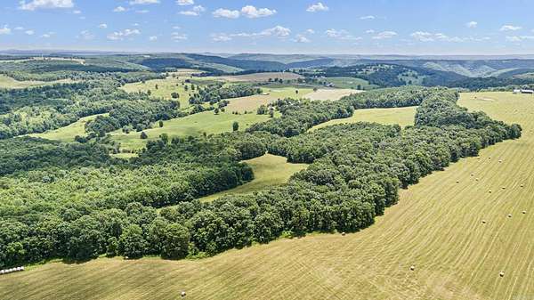 102 Acres of Recreational Land for Sale in Leslie, Arkansas
