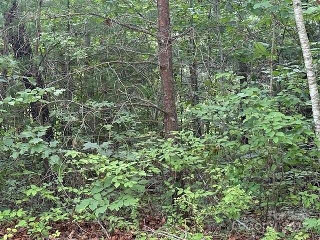 0.32 Acres of Residential Land for Sale in Black Mountain, North Carolina