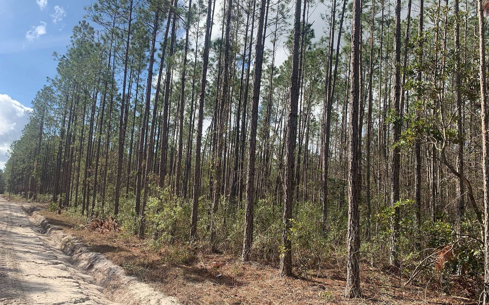 20 Acres of Recreational Land for Sale in Jasper, Florida