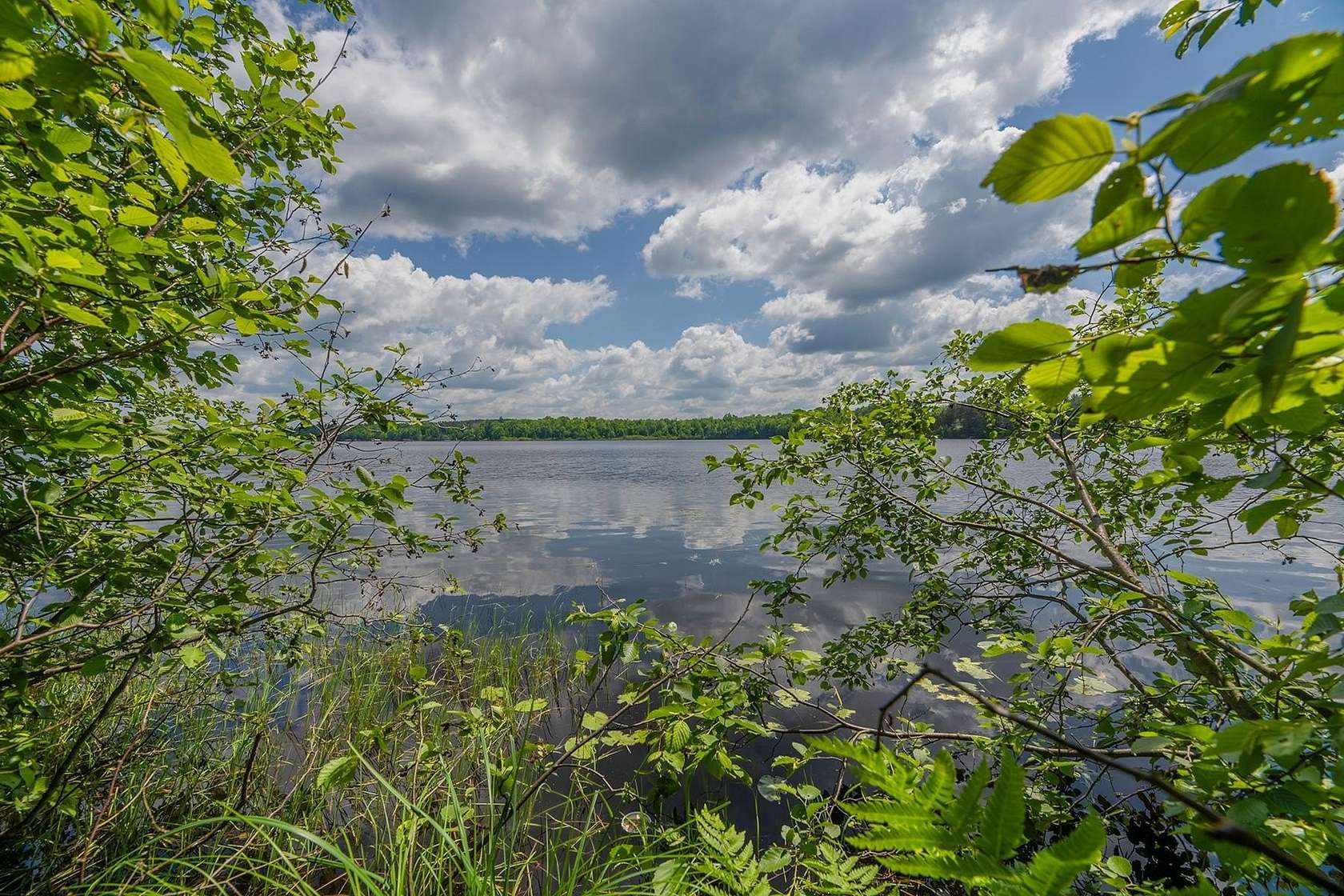 1.5 Acres of Residential Land for Sale in Three Lakes, Wisconsin