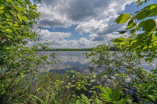 1.5 Acres of Residential Land for Sale in Three Lakes, Wisconsin