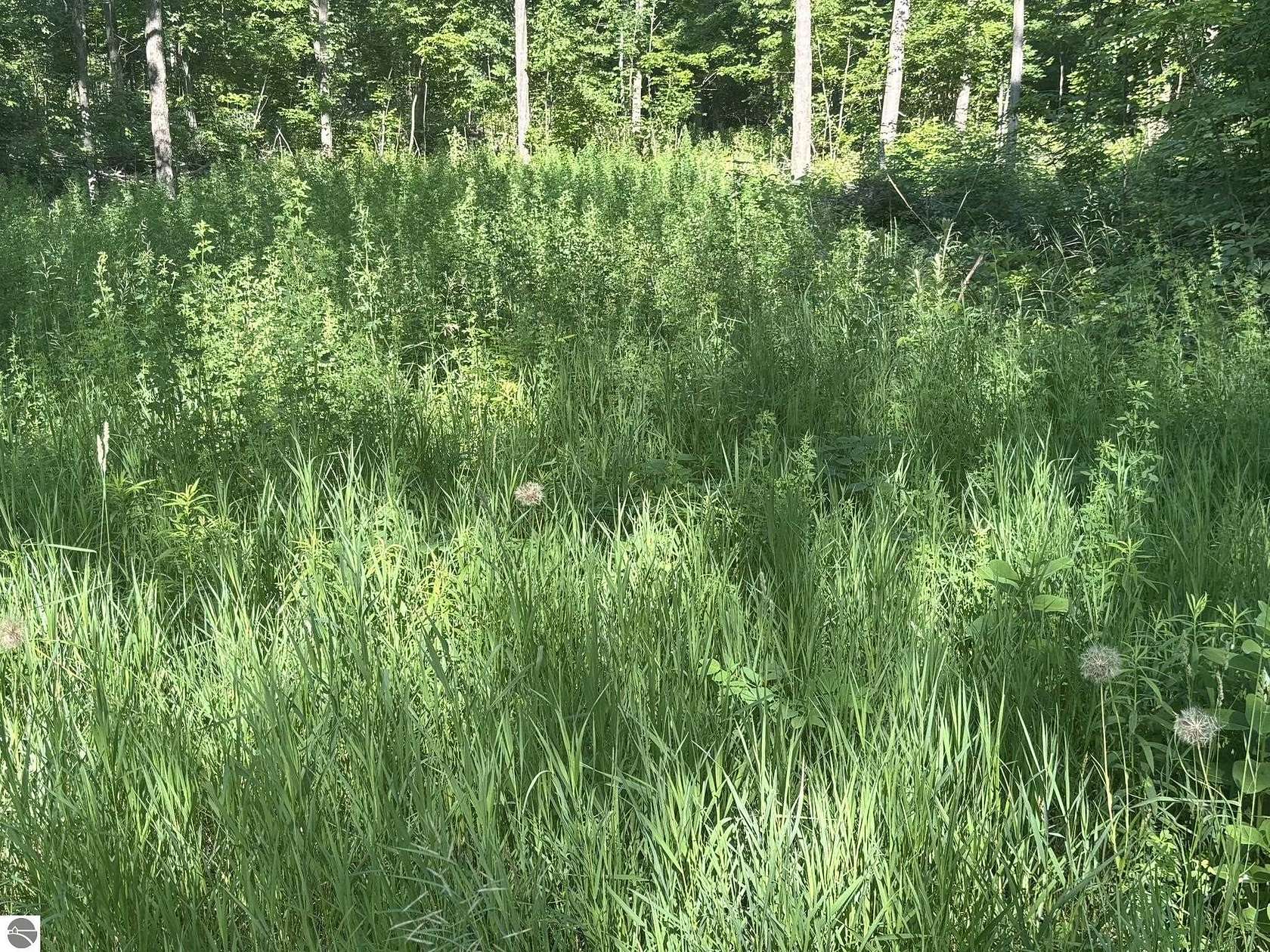 20 Acres of Recreational Land for Sale in Lake City, Michigan