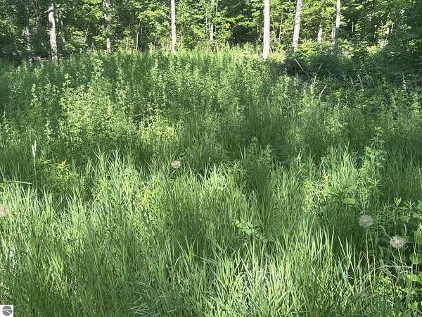 20 Acres of Recreational Land for Sale in Lake City, Michigan