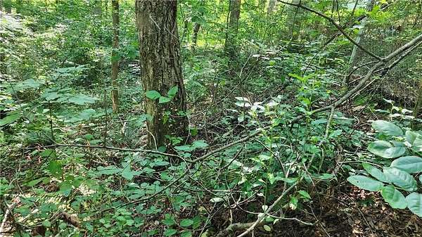 0.27 Acres of Residential Land for Sale in Cumming, Georgia