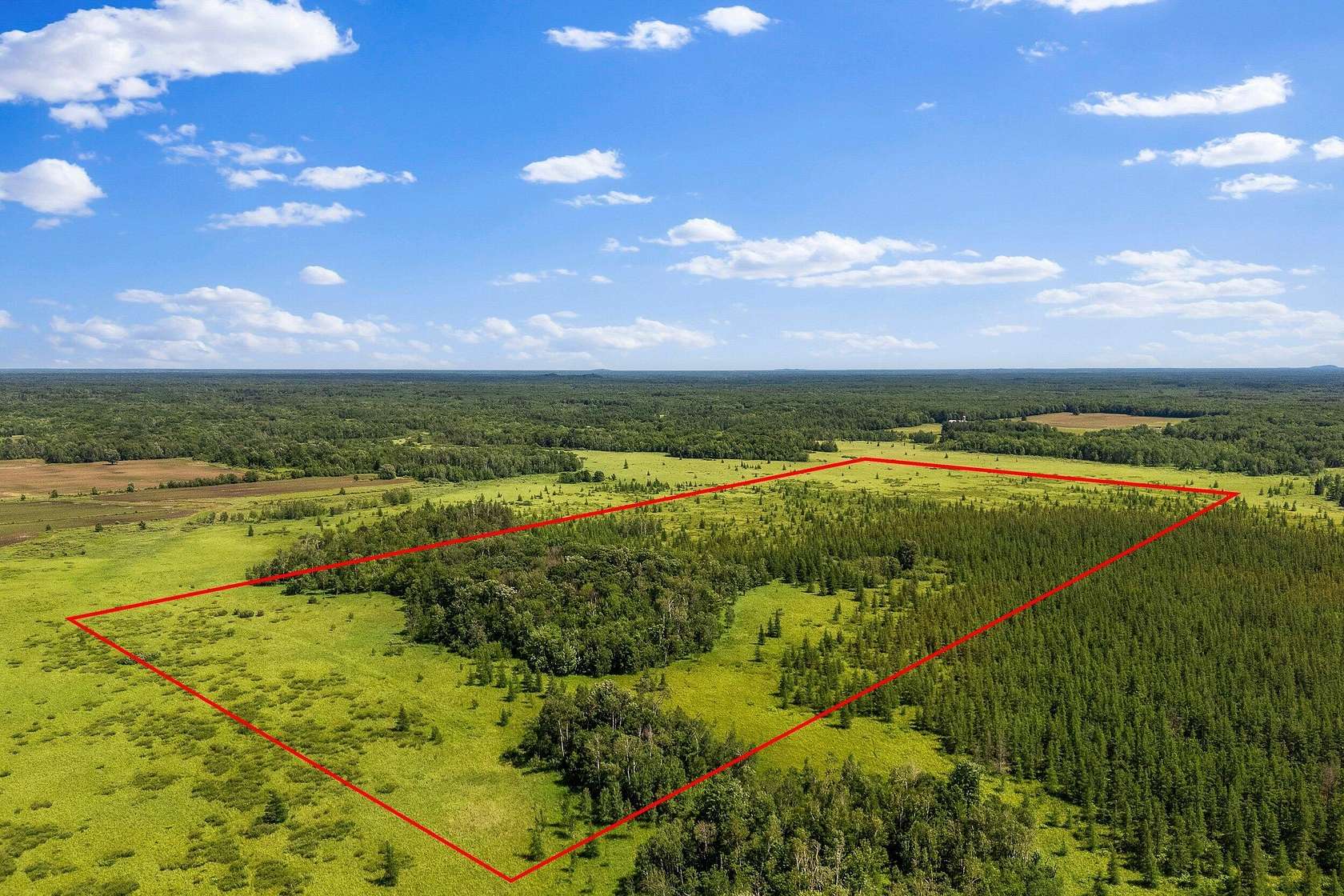 79.8 Acres of Recreational Land for Sale in Neillsville, Wisconsin