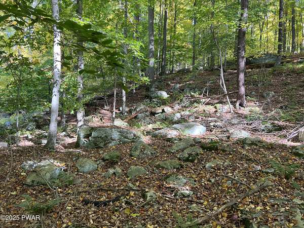 0.53 Acres of Residential Land for Sale in Greentown, Pennsylvania