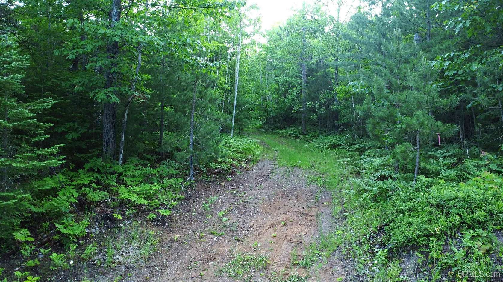 240 Acres of Recreational Land for Sale in Marquette, Michigan