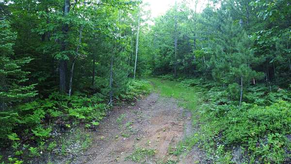 240 Acres of Recreational Land for Sale in Marquette, Michigan