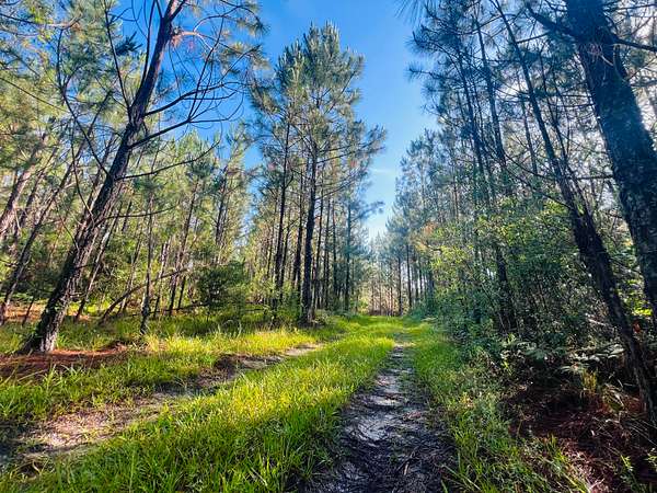 1,010 Acres of Recreational Land for Sale in Mount Vernon, Georgia