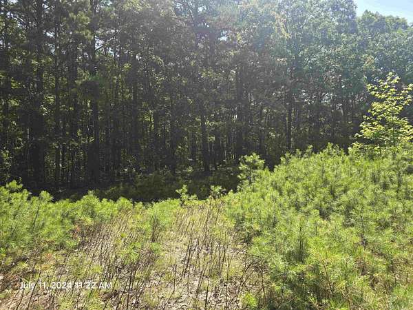 0.25 Acres of Residential Land for Sale in Fairfield Bay, Arkansas