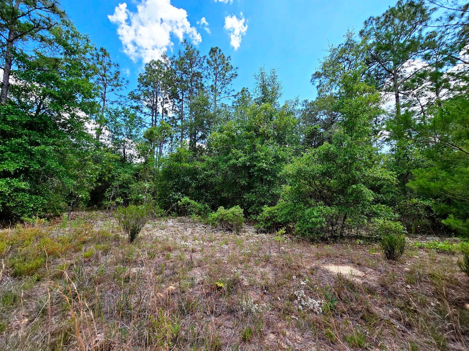 0.23 Acres of Residential Land for Sale in Interlachen, Florida