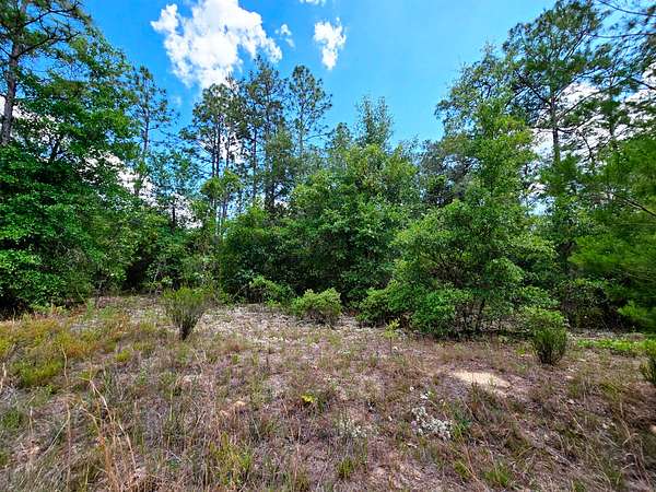 0.23 Acres of Residential Land for Sale in Interlachen, Florida