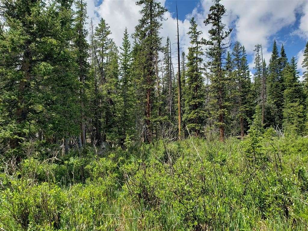 1 Acre of Residential Land for Sale in Fairplay, Colorado