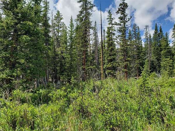 1 Acre of Residential Land for Sale in Fairplay, Colorado