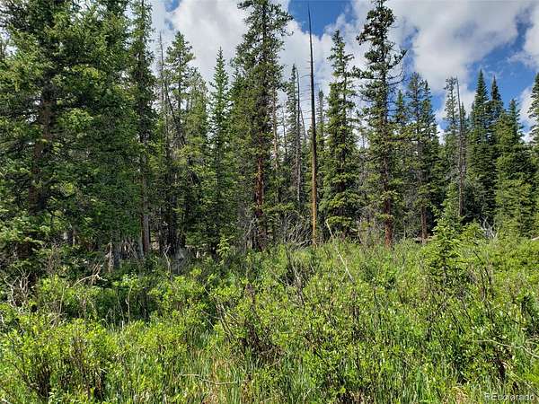 1 Acre of Residential Land for Sale in Fairplay, Colorado
