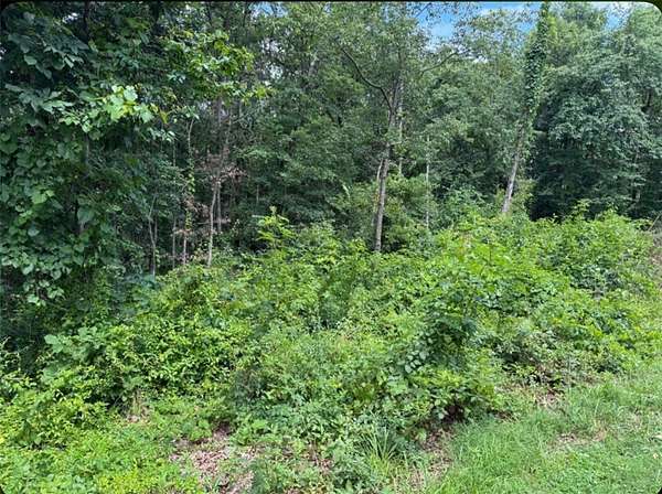 0.25 Acres of Residential Land for Sale in Bella Vista, Arkansas