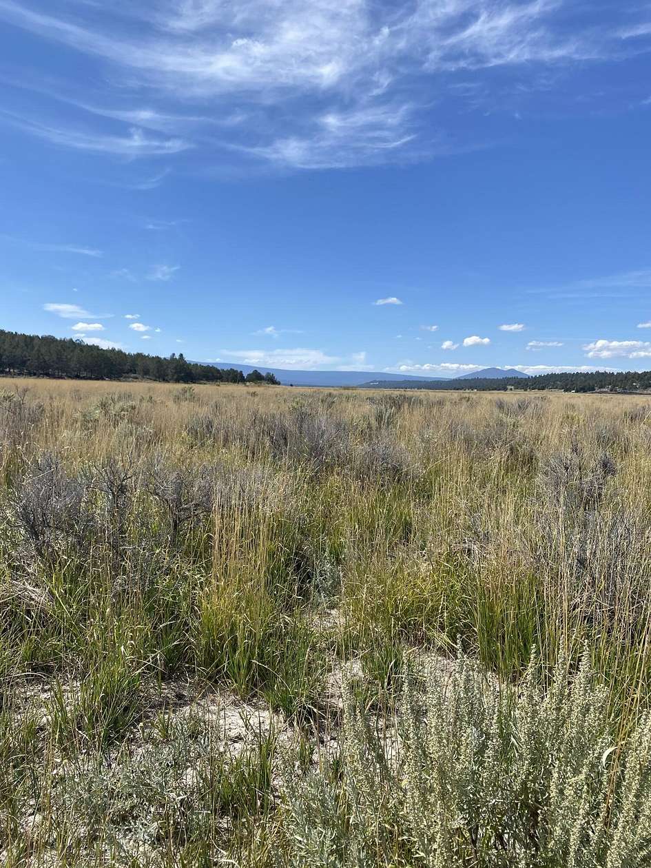 10.6 Acres of Land for Sale in Sprague River, Oregon