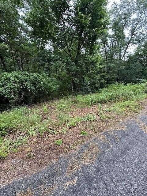 0.25 Acres of Residential Land for Sale in Bella Vista, Arkansas
