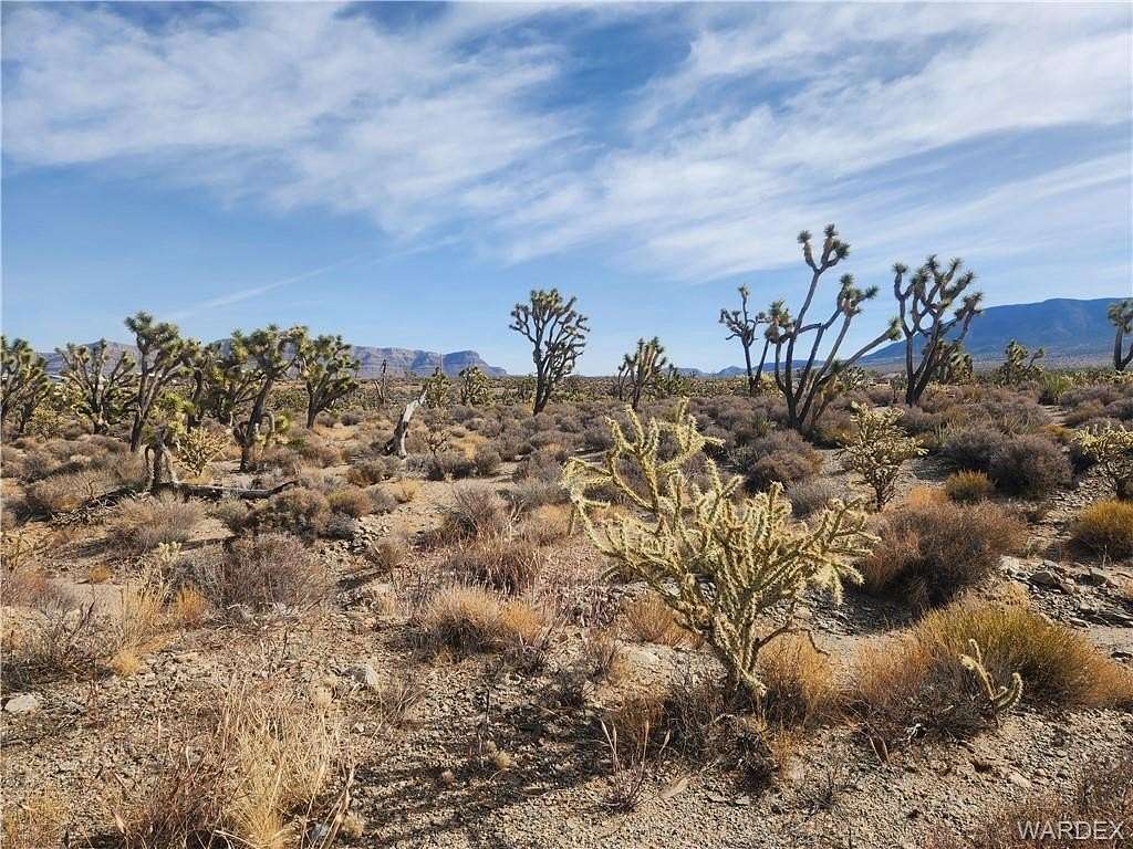 1.25 Acres of Land for Sale in Meadview, Arizona
