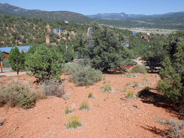 0.5 Acres of Residential Land for Sale in Central, Utah