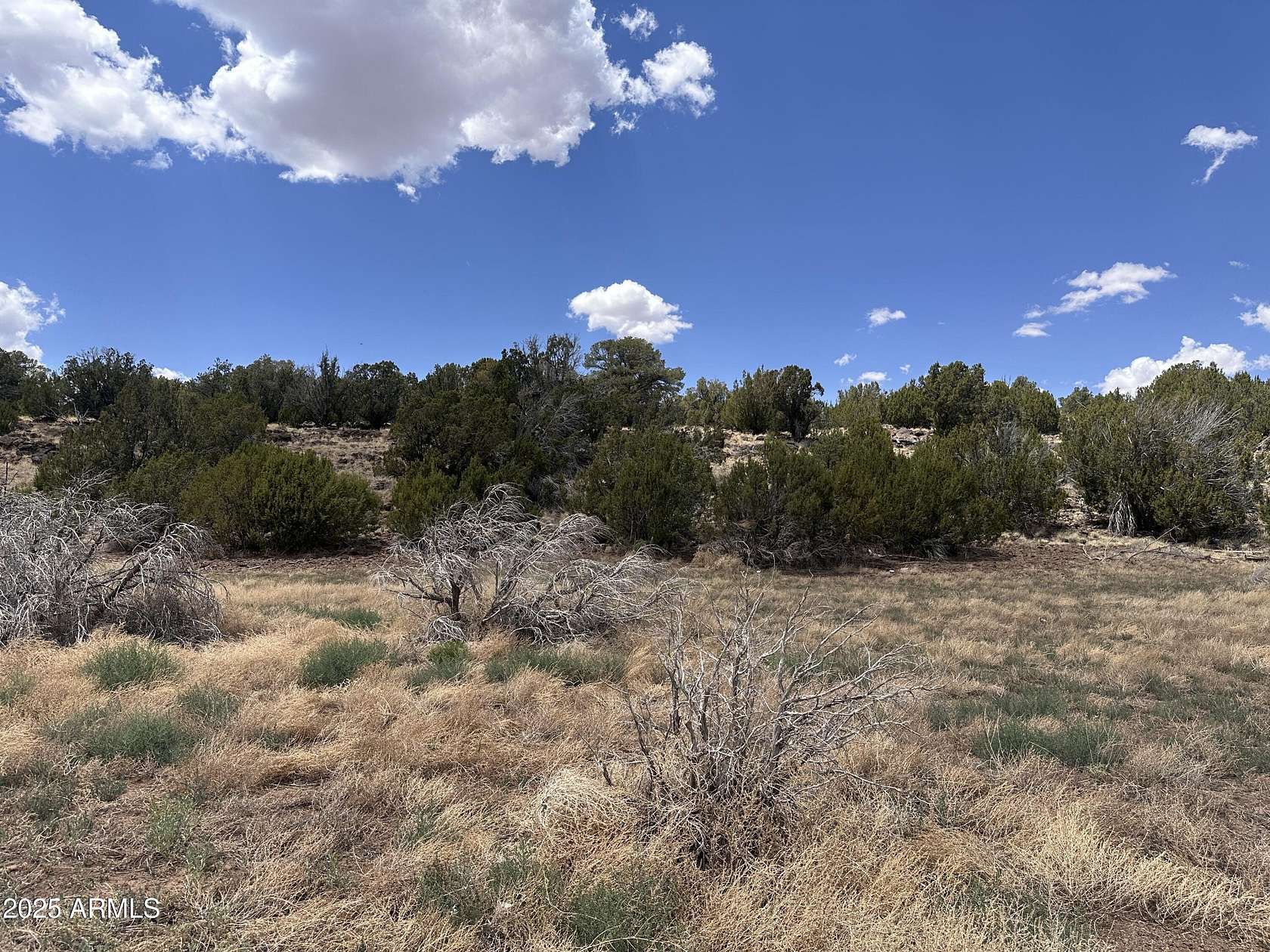 1.2 Acres of Residential Land for Sale in Concho, Arizona