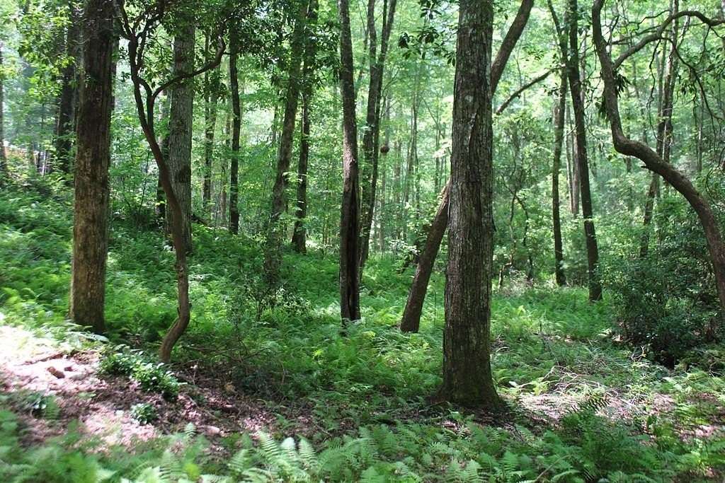 1.54 Acres of Land for Sale in Hayesville, North Carolina