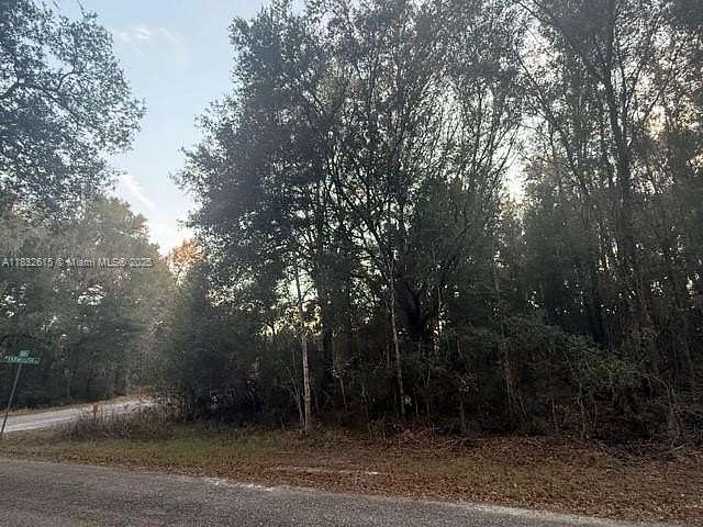 0.28 Acres of Residential Land for Sale in Citrus Springs, Florida
