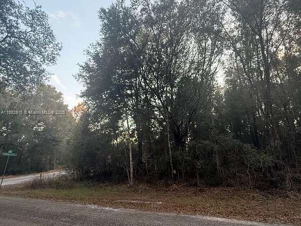0.28 Acres of Residential Land for Sale in Citrus Springs, Florida