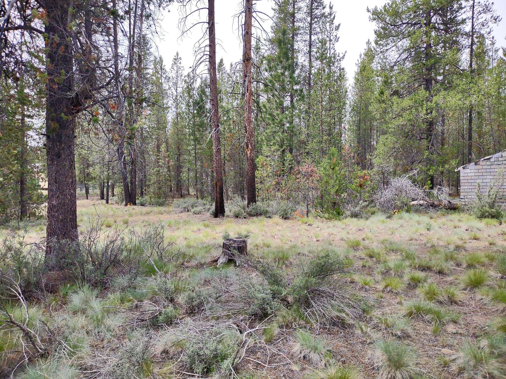 1.2 Acres of Residential Land for Sale in La Pine, Oregon