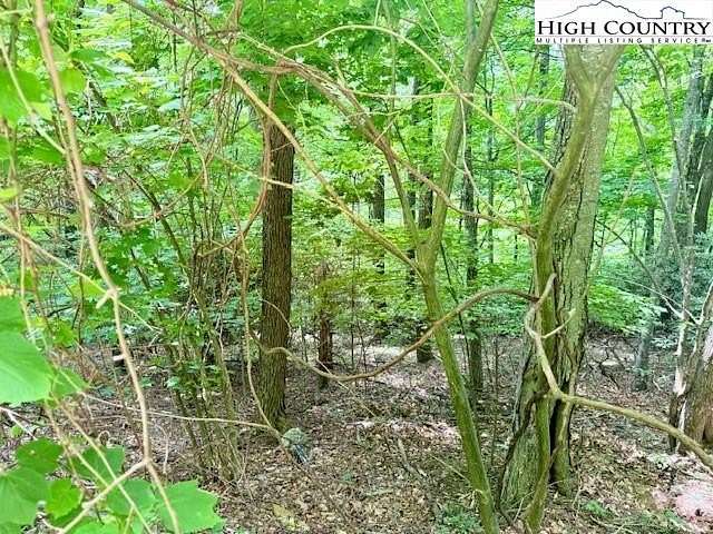 1.2 Acres of Residential Land for Sale in West Jefferson, North Carolina