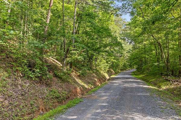 32.4 Acres of Land for Sale in Chatsworth, Georgia