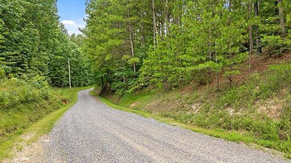 39 Acres of Land for Sale in Chatsworth, Georgia